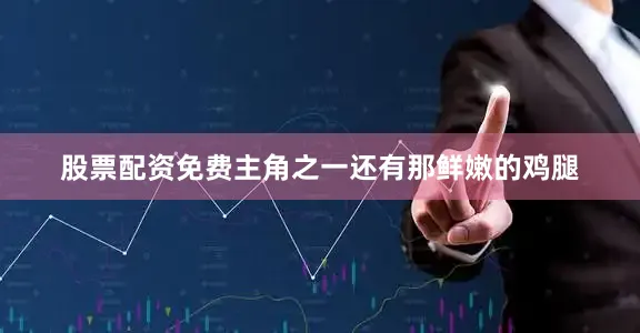 股票配资免费主角之一还有那鲜嫩的鸡腿