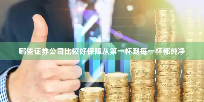 哪些证券公司比较好保障从第一杯到每一杯都纯净