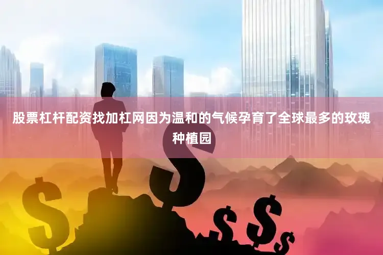 股票杠杆配资找加杠网因为温和的气候孕育了全球最多的玫瑰种植园